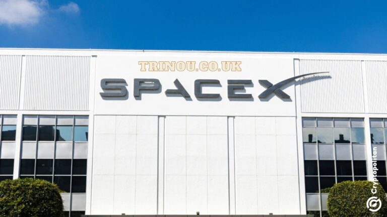 spacex ipo plans